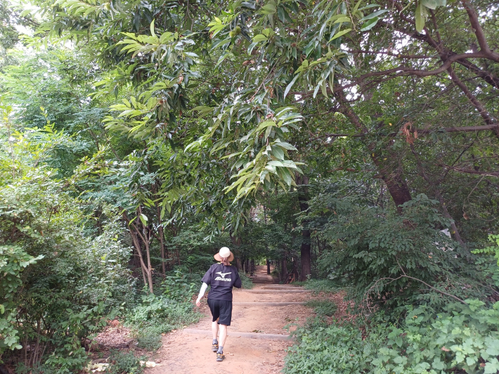 덕성산 숲길 풍경