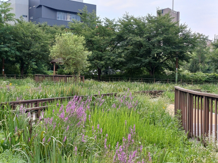 아름다운 꽃길을 걸어요