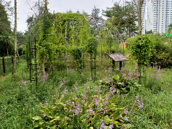 꼬리명주나비 서식지 풍경