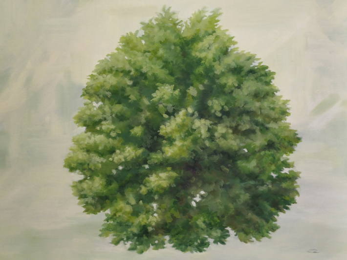 멈춘 초점, 캔버스에 유채, 72.7×72.7cm, 2025