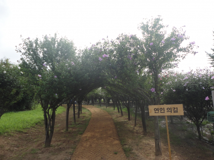 홍재로 터널을 조성한 산책로 '연인의 길'