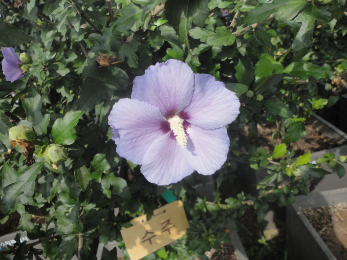 수원의 옛 지명 이름인 수주