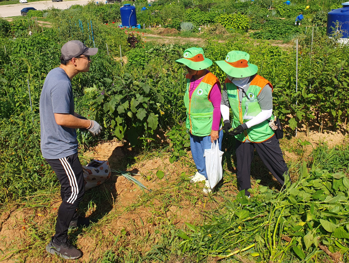 온열질환 예방 홍보활동하는 자율방재단