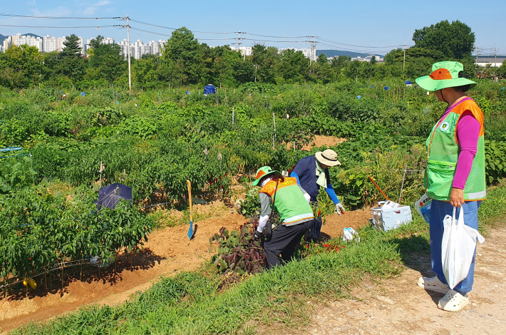폭염예방키트 전달하는 자율방재단