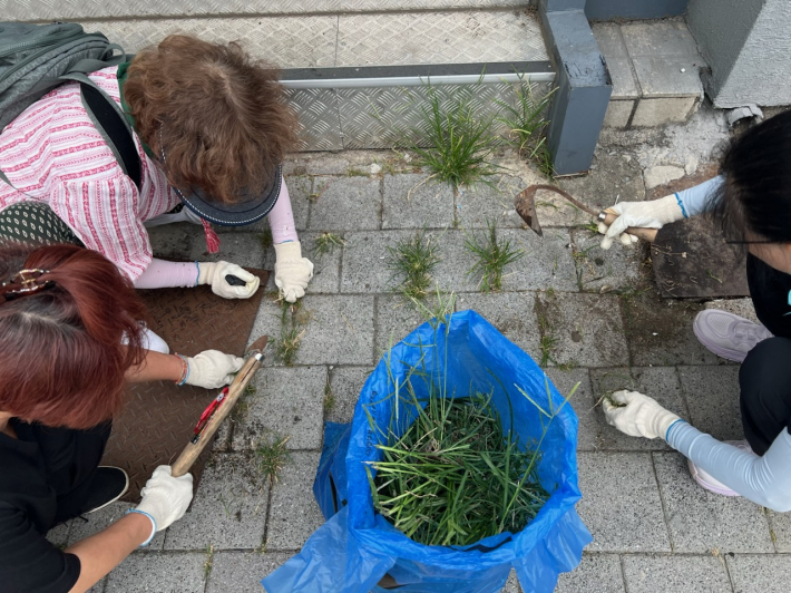 지난 11일, 지동 통장협의회에서 환경정비 활동을 진행했다.
