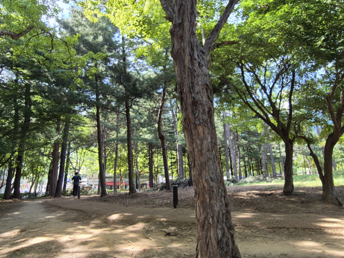 시원한 물놀이 뒤, 흙과 나무를 만지는 소중한 시간이 이어진다.