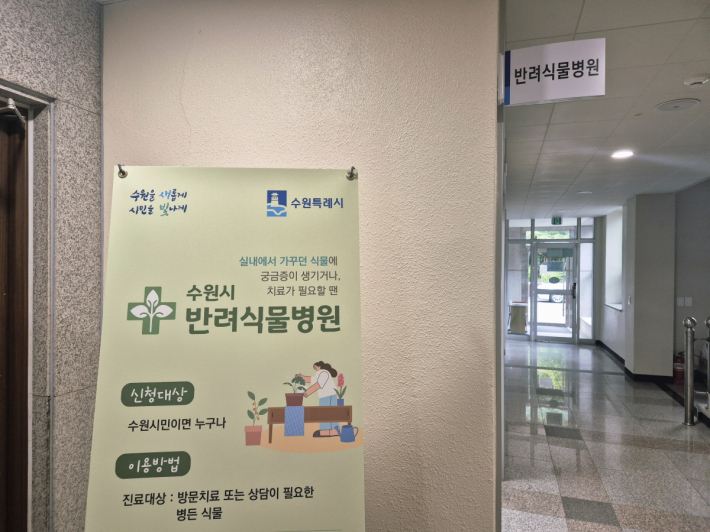 실내에서 키우던 식물에 궁금증이 생기거나 치료가 필요할 때는 '수원시 반려식물병원'을 찾아보세요!