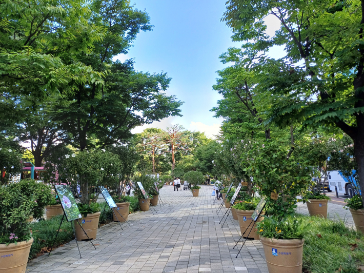 무궁화 분재와 사진 전시장 전경