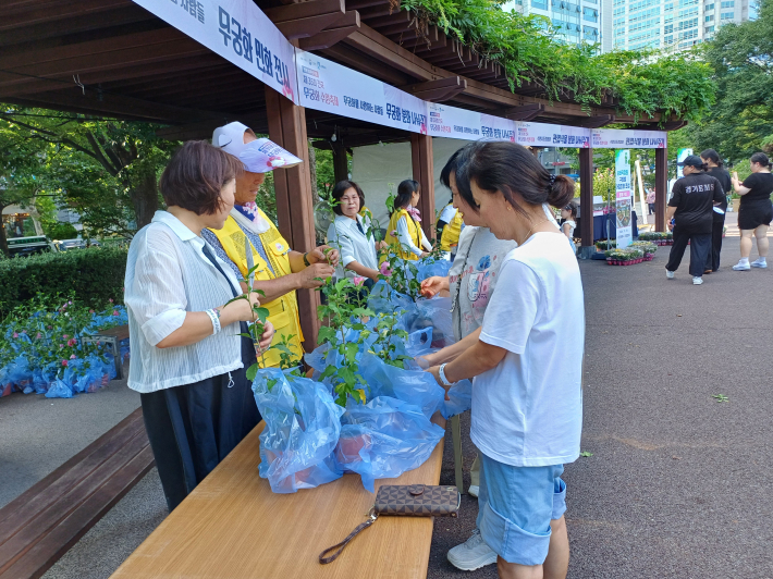무궁화 분화 나눔 전경