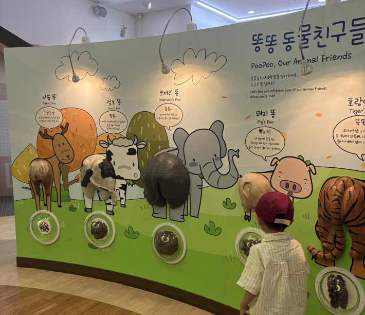 동물친구들의 똥의 모양을 전시해 놓은 공간.