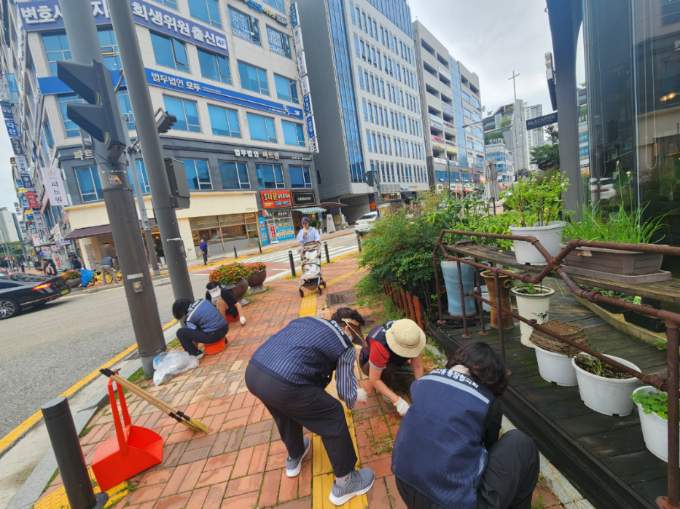 제초작업 현장사진
