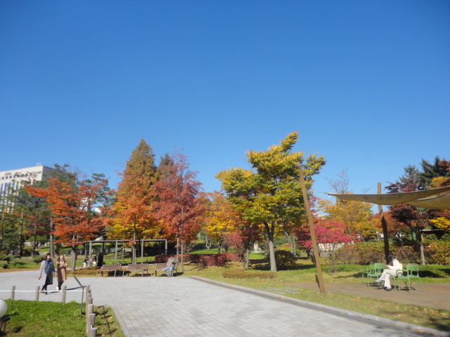 효원공원 단풍길을 걷는사람, 따사로운 햇살을받으며 망중한을 보내는 사람들의 모습