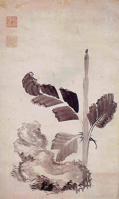 정조 筆 파초도, 보물 743호, 동국대학교 박물관 소장