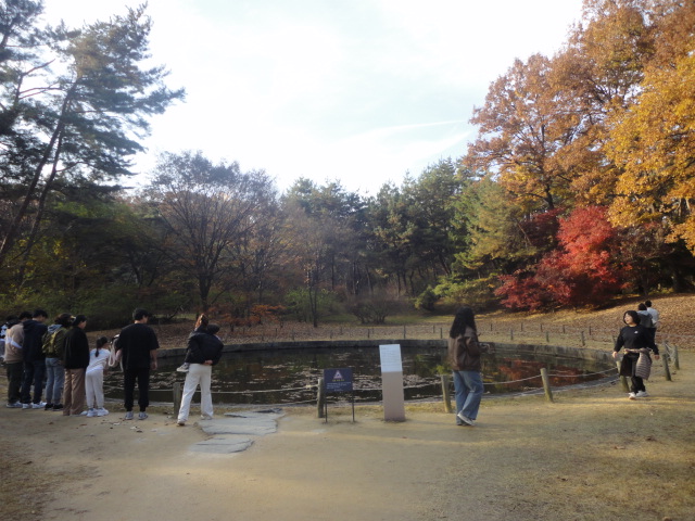 '용의 여의주'를 상징하는 연못을 살펴보는 관람객들