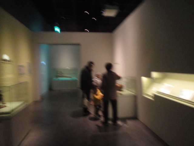 손자녀와 함께 관람하는 할아버지 할머니 모습