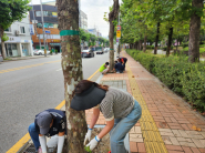 매탄4동 주민들이 매탄공원 인근 보도구간을 청소하고 있다