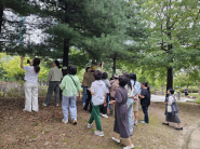 나무의 생태와 나뭇잎의 생김새를 알다