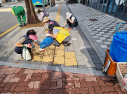 연무동 잡초제거 현장