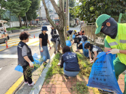 조원1동 관내 보행로 잡초 제거 사진