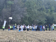 풍물마당을 즐기고 있는 시민들