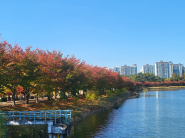 패션쇼처럼 아름다움을 뽐낸 ‘만석공원 단풍’