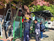 입북동 관내에 설치된 폐건전지 수거함 (사진제공: 입북동 주민자치회)