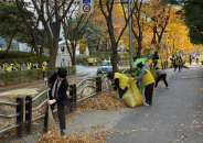정자2동 주민들이 낙엽을 쓸고있다