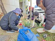 조원1동 손바닥정원단과 주민들이 손바닥정원에 식물을 식재하고 있는 모습이다.