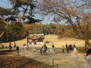 건릉을 관람하는 관광객들이 북적인다