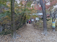 용화사 입구에서 칠보산 오르는 등산로. 가을이 깊었다.  