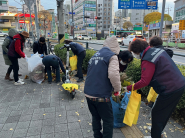 지동 통장협의회 및 지동 직원들이 겨울철 재난 대비 환경정비 활동을 실시하고 있다