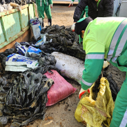 하반기 영농폐기물 집중 수거
