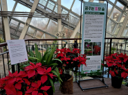 꿈꾸는 말의 숲 전시에 대해 설명해주는 안내문이 있었다