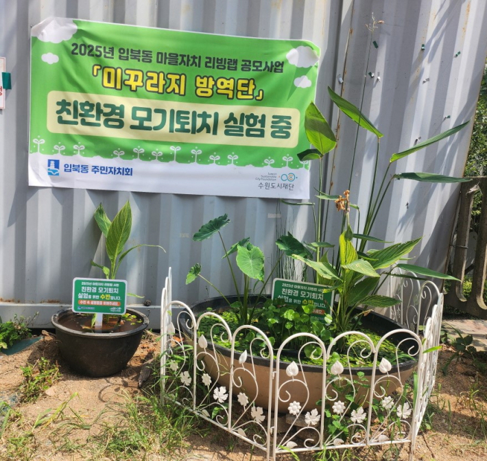 당수동 친환경 모기퇴치 사업 실험장