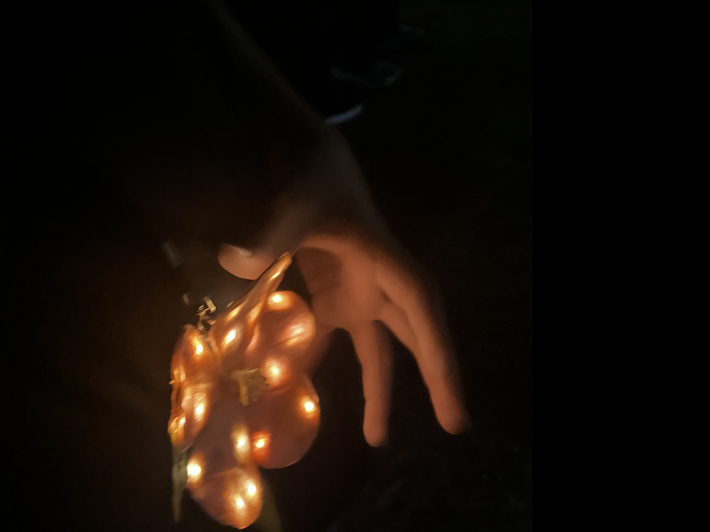 효의 상징 복사꽃