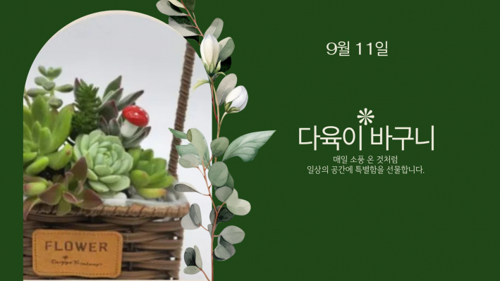 다육이바구니만들기