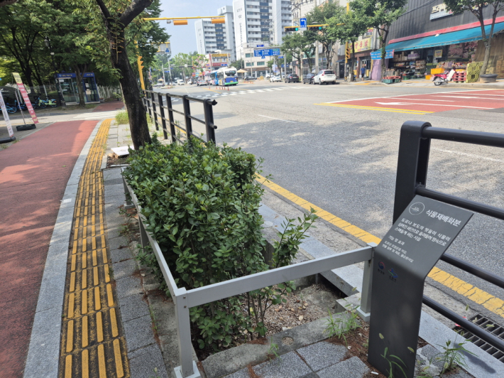 도심 속에서도 조용히 이어지는 도시 물순환을 보여주는 '식물재배화분'