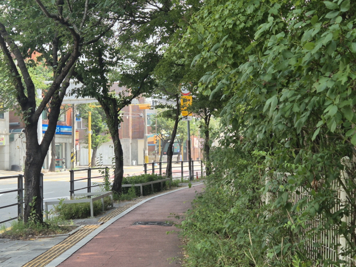 식물재배화분 하나가 도시와 물을 연결하고, 시민은 그 흐름을 눈앞에서 직접 느끼게 된다.