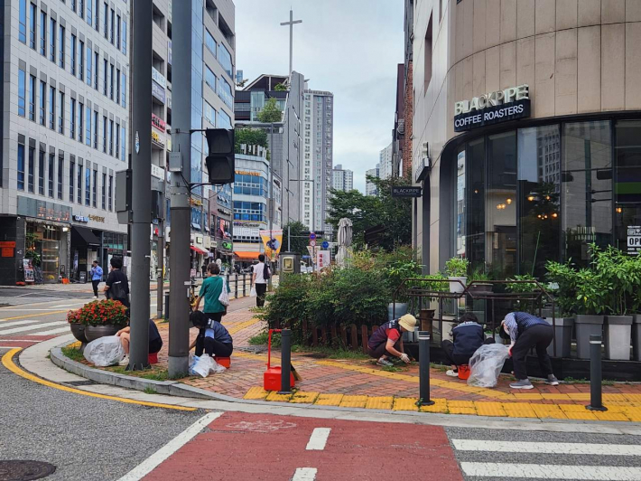 제초작업 현장사진