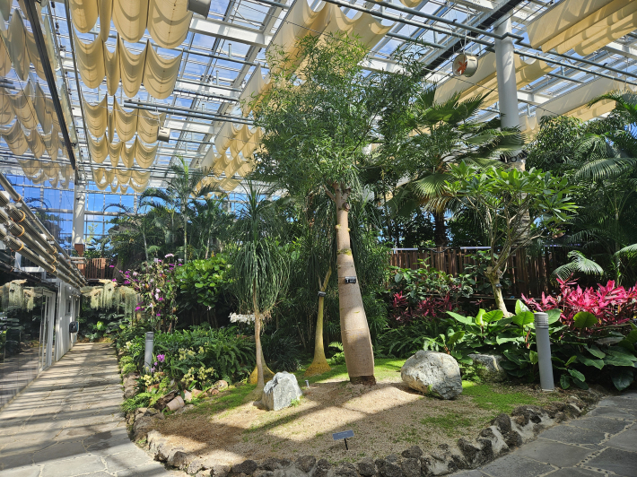 농업박물관 내 식물원