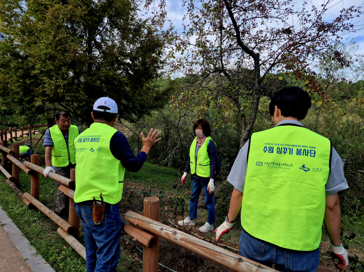 낙상홍 심는 방법 설명