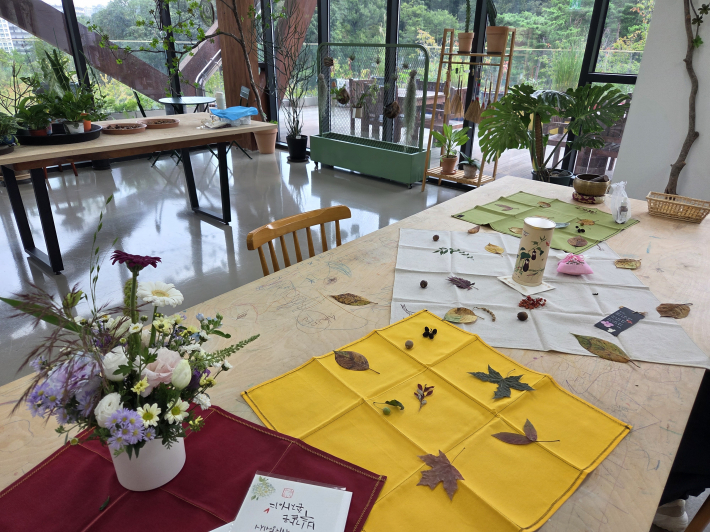 산림치유지도사가 직접 채집한 이파리와 열매들