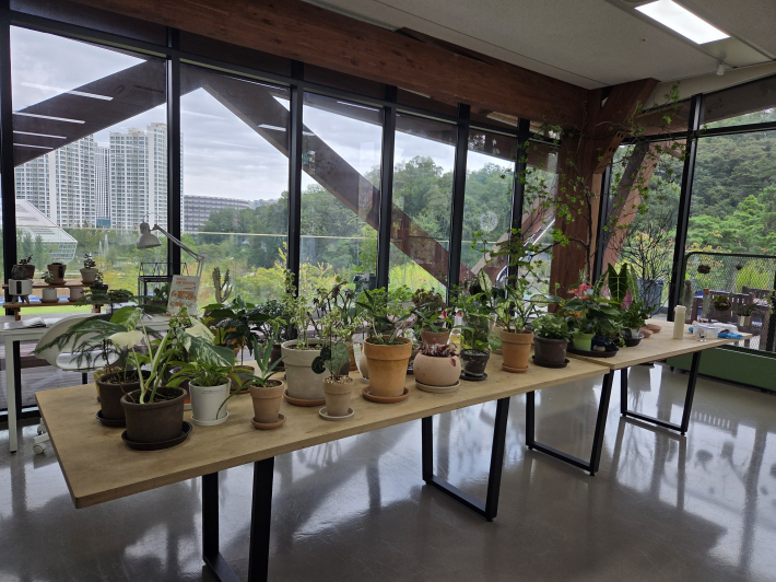 통창 밖으로 보이는 수목원 모습