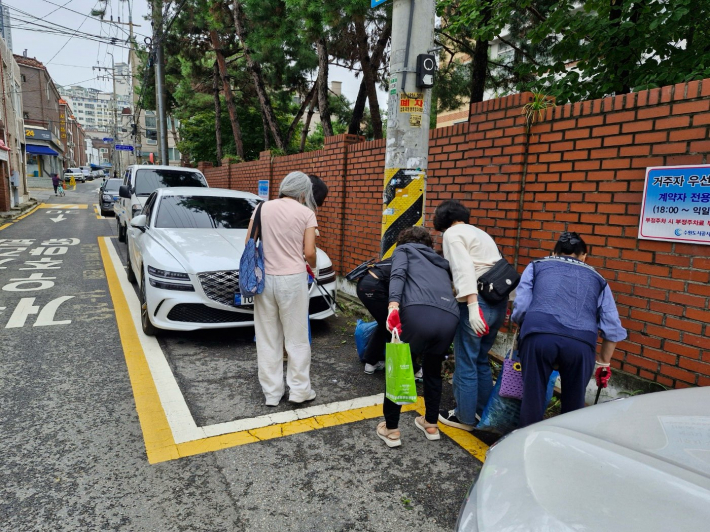 정자2동 통장들이 추석을 맞아 도로변을 정비하고있다.