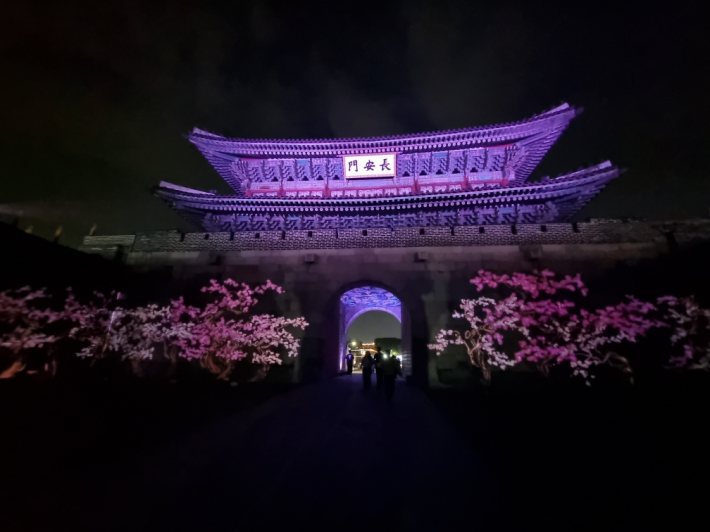 장안문에서 미디어 아트 공연이 펼쳐지고 있다.