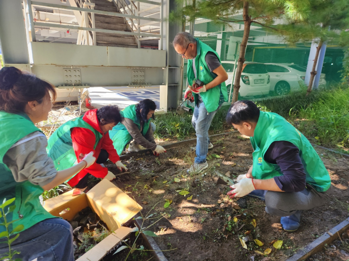 새마을단체에서 화단에 꽃을 심고있는 모습.
