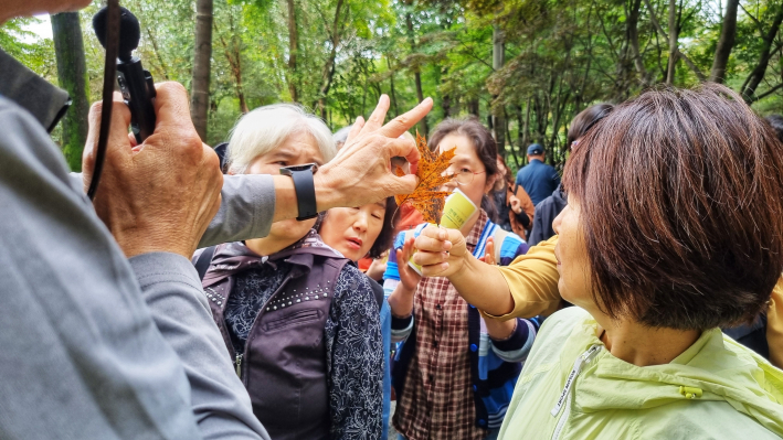 잎을 살피며, 참나무 종류를 확인하는 모습이다.