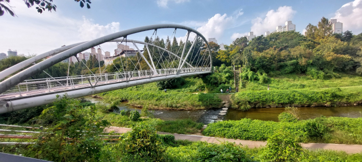 아름다운 풍광의 원천리천과 신동 보도육교2 모습