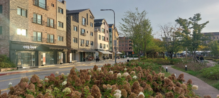신동 수국정원과 카페 거리