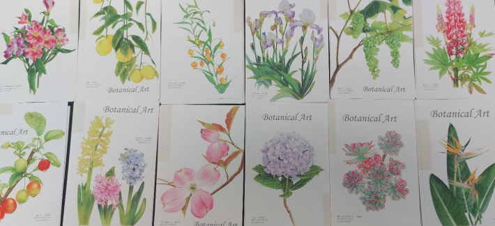 보태니컬 아트 엽서. 회원들 작품이 엽서로 변신했다.